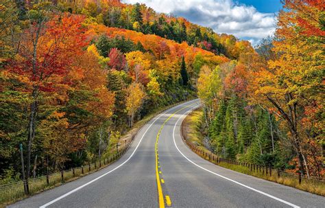 The road .
